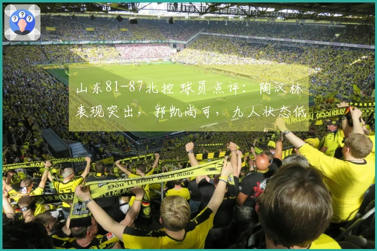 山东81-87北控 球员点评：陶汉林表现突出，郭凯尚可，九人状态低迷