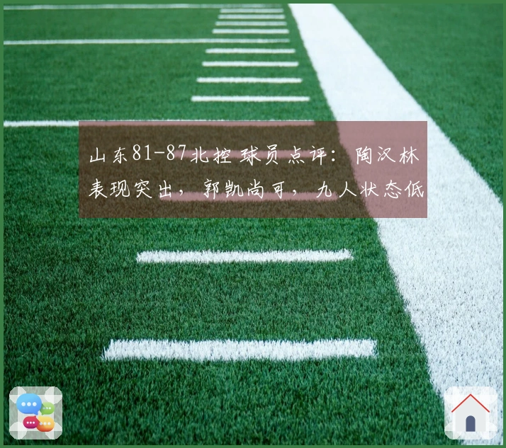 山东81-87北控 球员点评：陶汉林表现突出，郭凯尚可，九人状态低迷